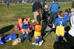 C-Elephants  0044_resize